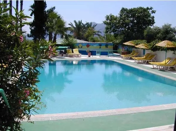 酒店 阿莫斯酒店 2*